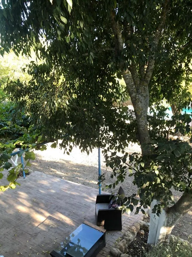 Hostal Casa de la vega Almodóvar del Río 0*,
